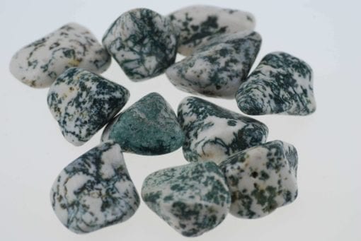 Tree Agate