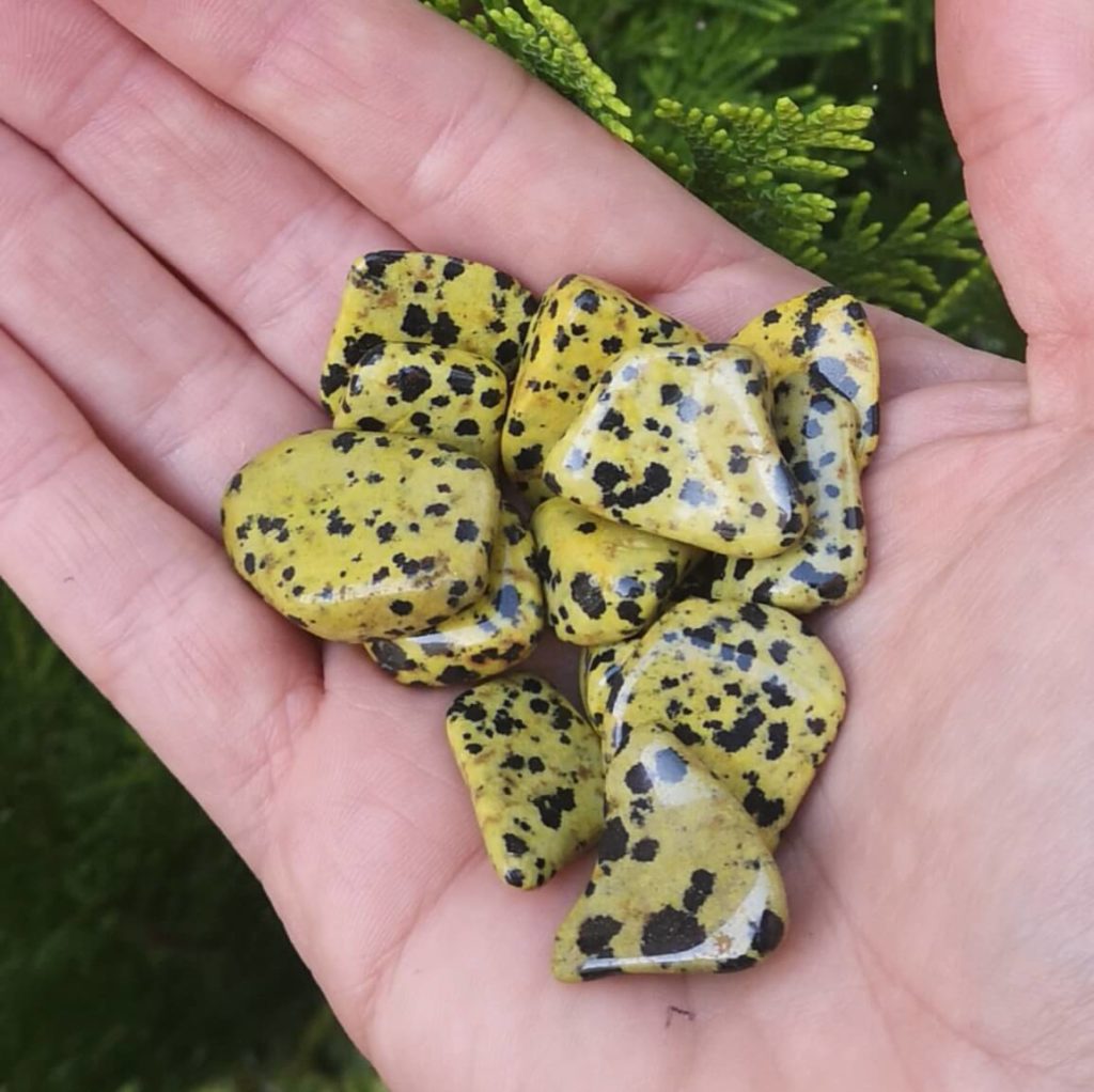 oldest known use for dalmation jasper