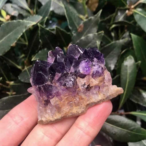 Amethyst Bed 82g