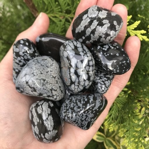 Snowflake Obsidian - large tumbled