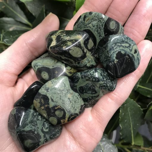 Stromatolite Tumbled