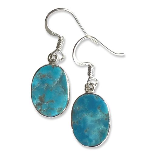 Turquoise Oval Drop Earrings