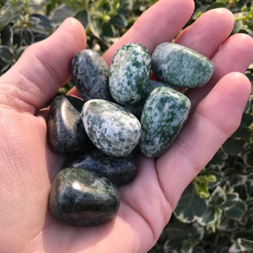 Nephrite Jade 9576