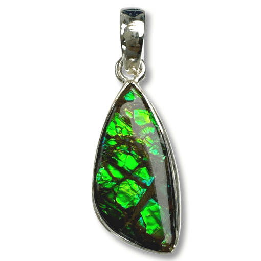 Ammolite AMM-20406