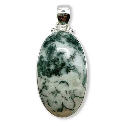 Tree Agate AGT-20648