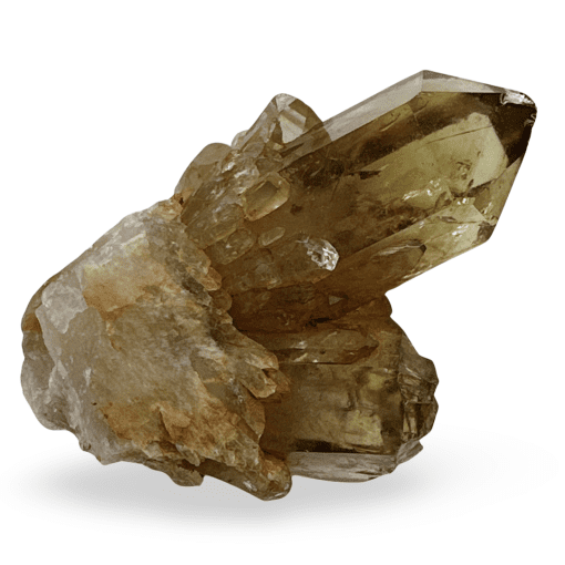 Citrine CIT-20785